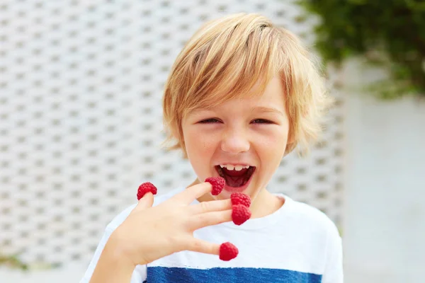Delighted kid, boy tasting ripe and fresh raspberries from his fingers — Stock Image Delighted kid, boy tasting ripe and fresh raspberries from his fingers Stock Image