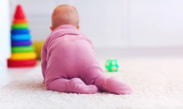 Widok z tyłu z sześciu miesięcy córeczkę czołgał się na dywanie w domu — Zdjęcie stockowe