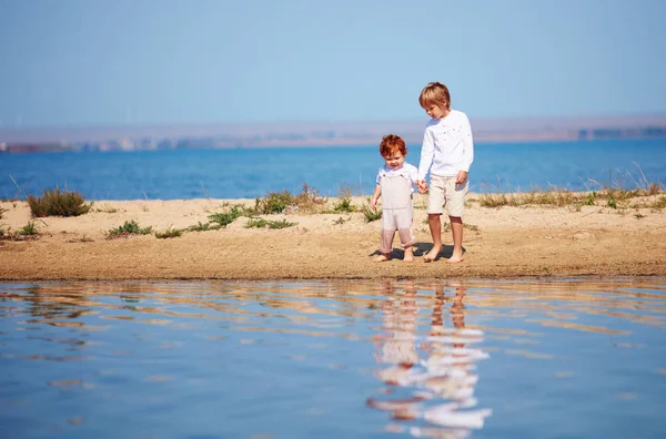 Hermanos lindos, niños pequeños caminando a lo largo del lago en aguas poco profundas en la mañana de verano — Foto de Stock