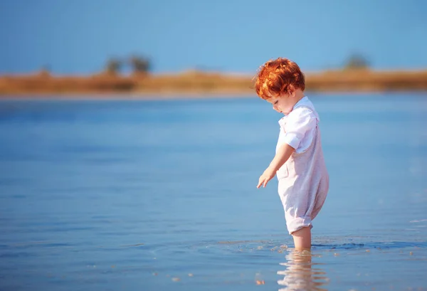 Curious redhead toddler baby boy pointing something in shallow water at morning lake — Stock Photo, Image