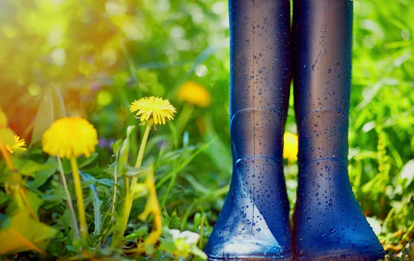 Rubberen laarzen bedekt met waterdruppels op lente tuin achtergrond — Stockfoto