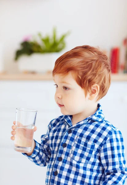 Portret Van Schattige Peuter Babyjongen Houdt Van Een Glas Vers — Stockfoto