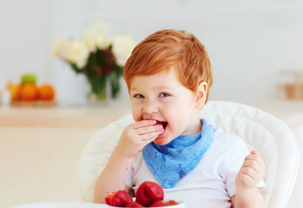 Portrait Happy Toddler Baby Eating Tasty Fresh Starwberries — Stock Photo, Image