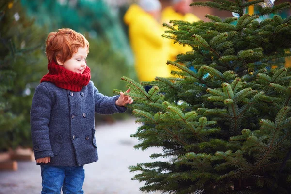 Menino curioso feliz tocando as agulhas no abeto no mercado de árvore de natal para férias de inverno — Fotografia de Stock