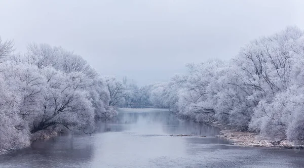 Γαλήνιο τοπίο του ήρεμου ποταμού που τρέχει ανάμεσα σε παγωμένα δέντρα ένα χειμωνιάτικο πρωινό — Φωτογραφία Αρχείου
