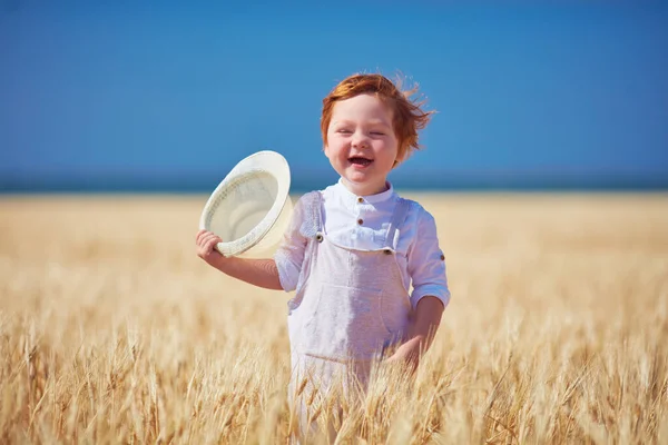 晴れた夏の日に小麦畑に立って笑っている幼児の男の子を喜んでいます 人生を楽しんで — ストック写真
