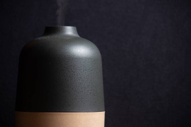 Elektrik Özü yağlar Aroma dağıtıcı, yağ şişeleri ve çiçekler ahşap masa üzerinde, metin için boşluk