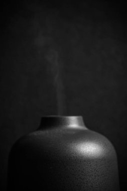 Elektrik Özü yağlar Aroma dağıtıcı, yağ şişeleri ve çiçekler ahşap masa üzerinde, metin için boşluk