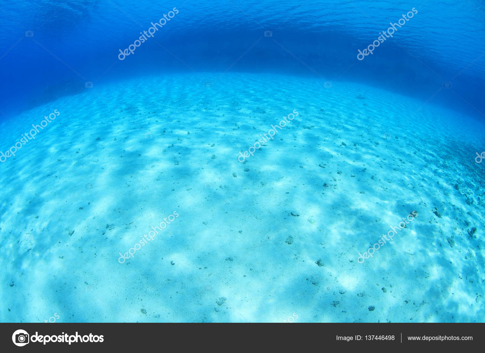 Sandy Sea Floor Stock Photo C Aquanaut 137446498