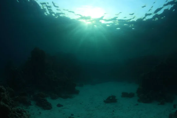 水の表面とサンゴ礁 — ストック写真