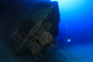 Hilma Hooker 'ın enkazı ve sualtı dalgıcı Karayipler' deki Bonaire Denizi 'nde