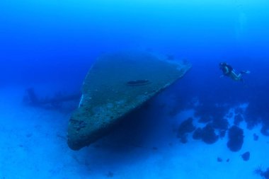 Hilma Hooker 'ın enkazı ve sualtı dalgıcı Karayipler' deki Bonaire Denizi 'nde