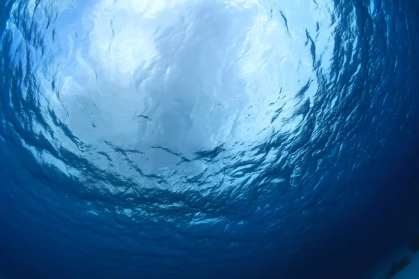 Estructura Superficie Del Agua Bajo Agua Mar Caribe Fotos de stock