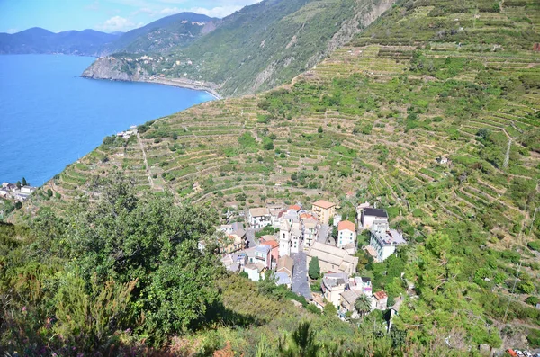 Il borgo di Manarola nelle isolate e belle Cinque Terre — Foto Stock