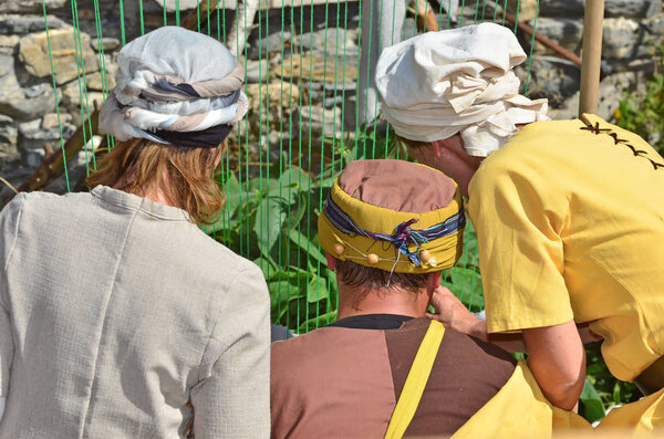 Сайонский средневековый фестиваль
