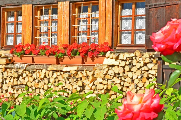 Wood pile, geraniums and roses