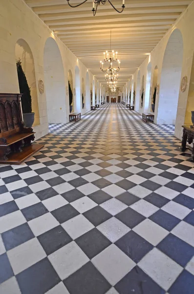 O Renascimento Chateau de Chenonceau — Fotografia de Stock