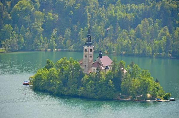 Ausgeblutete Insel inmitten des Sees — Stockfoto