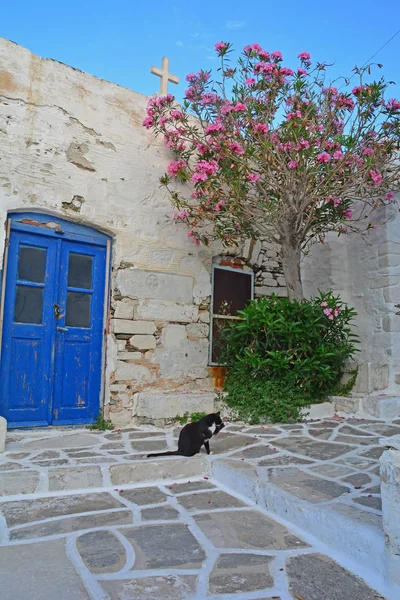 Katze und griechisches Haus — Stockfoto