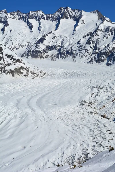 Wannenhorn Gross Sopra Ghiacciaio Aletsch Nelle Alpi Bernesi Svizzera Inverno — Foto Stock