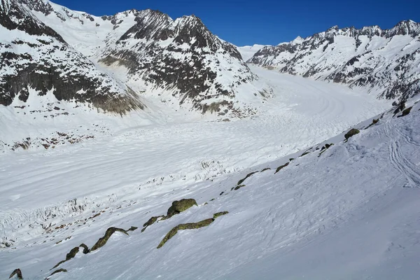Der Aletschgletscher Europas Längster Gletscher Den Berner Alpen Schweiz — Stockfoto