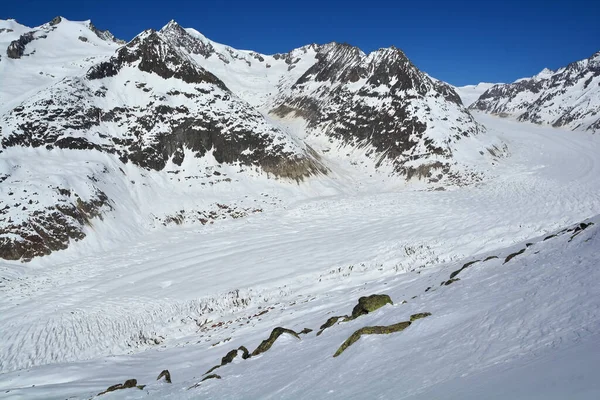 在阳光明媚的冬日 瑞士贝奈斯阿尔卑斯山中的阿莱希冰川上方的萨特霍恩 — 图库照片