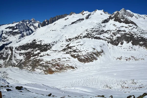 Sattelhorn Boven Aletschgletsjer Berner Alpen Zwitserland Zonnige Winterdag — Stockfoto