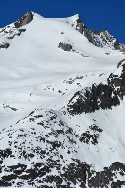 Sattelhorn Nad Ledovcem Aletsch Bernských Alpách Švýcarsko Slunečného Zimního Dne — Stock fotografie