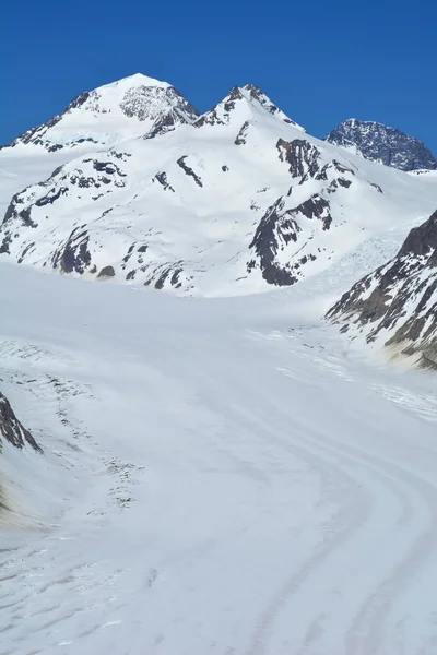 Wielki Monch Lewej Trugberg Pierwszym Planie Szczycie Lodowca Aletsch Alpach — Zdjęcie stockowe