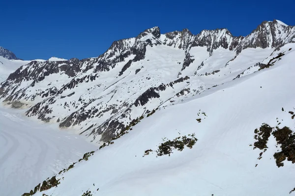 Fiescher Gabelhorn Midden Wannenhorn Rechts Boven Aletschgletsjer Berner Alpen Zwitserland — Stockfoto