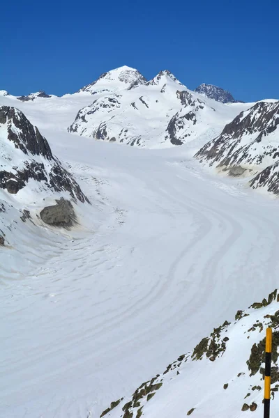 Monch Midden Eiger Aan Het Hoofd Van Aletschgletsjer Berner Alpen — Stockfoto