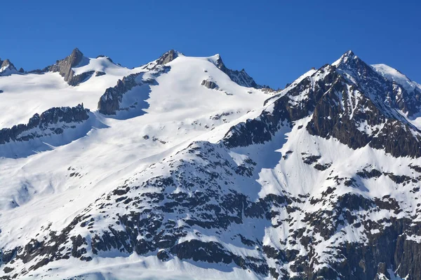 Sattelhorn Acima Geleira Aletsch Nos Alpes Bernese Suíça Dia Ensolarado — Fotografia de Stock