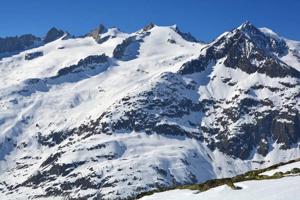 Sattelhorn Acima Geleira Aletsch Nos Alpes Bernese Suíça Dia Ensolarado — Fotografia de Stock