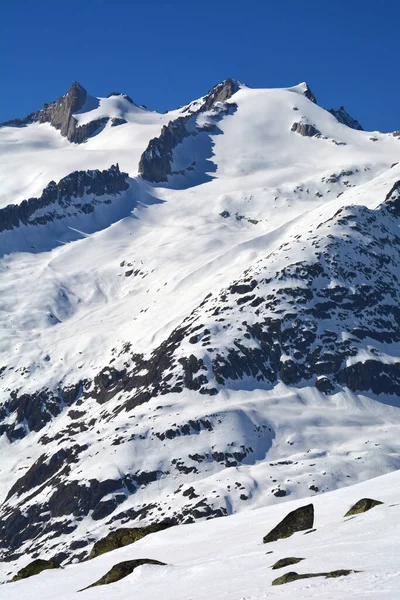 Sattelhorn Nad Lodowcem Aletsch Alpach Berneńskich Szwajcaria Słoneczny Zimowy Dzień — Zdjęcie stockowe