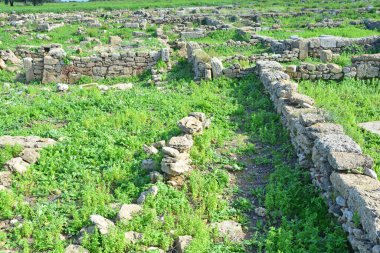 Doğu Sicilya 'daki Antik Yunan kolonisi Megara Hyblaea' nın kalıntılarının merkezi. Yaklaşık 2700 yıl öncesine ait.