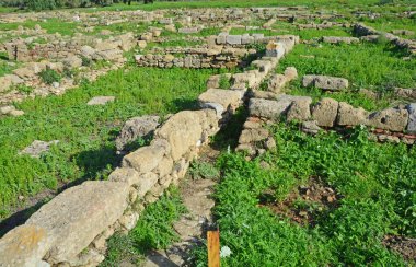 Doğu Sicilya 'daki Antik Yunan kolonisi Megara Hyblaea' nın kalıntılarının merkezi. Yaklaşık 2700 yıl öncesine ait.