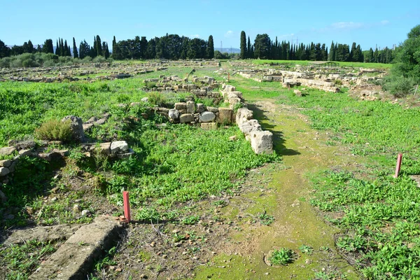 Doğu Sicilya Daki Antik Yunan Kolonisi Megara Hyblaea Nın Kalıntılarındaki — Stok fotoğraf