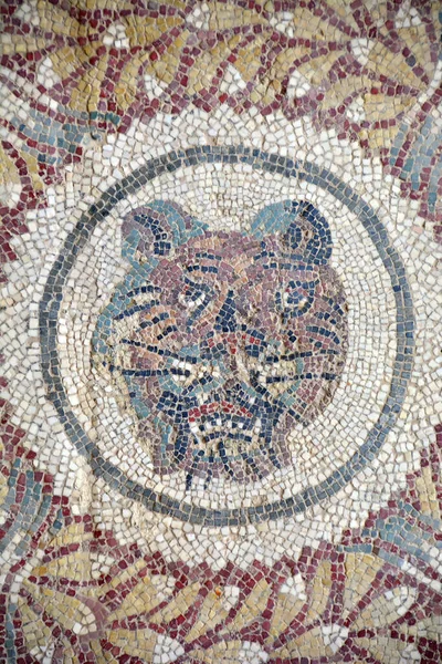 Starověká Římská Mozaika Tygra Provedená Zářivých Barvách Villa Romana Del — Stock fotografie