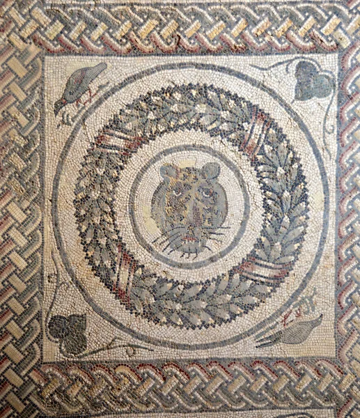古代罗马马赛克的一个大的Feline 执行在充满活力的颜色从别墅罗马德尔卡萨莱在西西里 — 图库照片