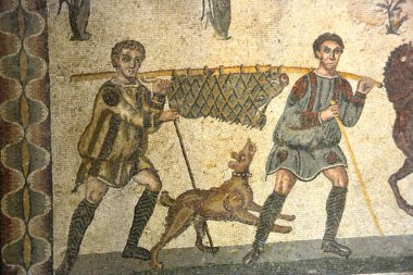 Uzun çoraplar ve tunik giyen iki avcının av köpeğiyle birlikte bir yaban domuzu taşıdığı bir av sahnesi. UNESCO 'daki Küçük Av Sahnesinden Villa Romana del Casale listesindeydi.