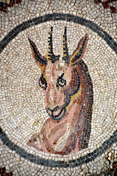 Ancient Roman Mosaic Roe Deer Executado Cores Vibrantes Unesco Listado — Fotografia de Stock