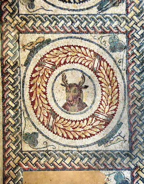 古罗马马赛克的一头雄鹿 以充满活力的色彩从联合国教科文组织列出的西西里皇家别墅中被展出 — 图库照片