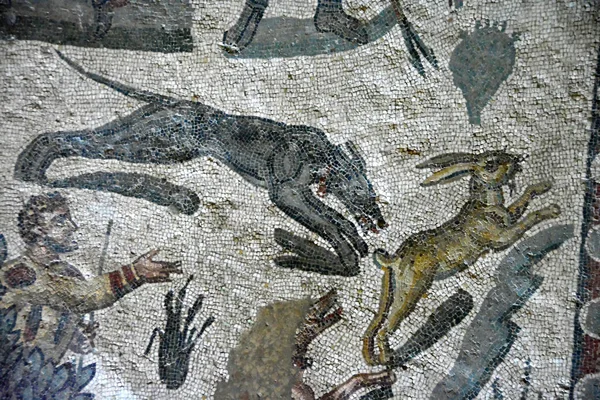 Antiguo Mosaico Romano Caza Liebre Con Sighthounds Mostrando Liebre Huyendo —  Fotos de Stock