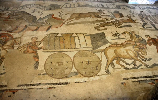 Antiguo Mosaico Romano Caza Leopardo Con Carro Para Transporte Animales —  Fotos de Stock