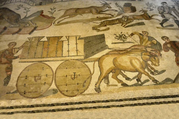 โมเสคโรม นโบราณของรถเข นหน ในการขนส วาดโดยว ในพ นหล งเส อดาวโจมต จากย — ภาพถ่ายสต็อก