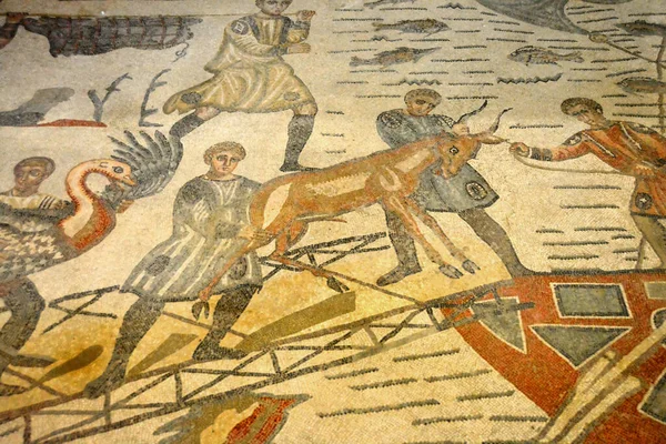 Forntida Romersk Mosaikscen Som Visar Lastningen Afrikansk Sanga Cattle Bull — Stockfoto