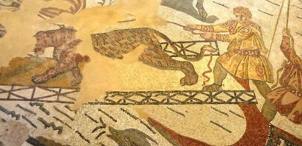 Antiga Cena Mosaico Romano Mostrando Homem Romano Tentando Controlar Tigre — Fotografia de Stock