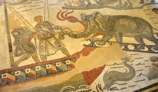 로마의 모자이크 장면에는 로마인들이 대헌트 코리도 갤리선으로 코끼리를 모습이 그려져 — 스톡 사진