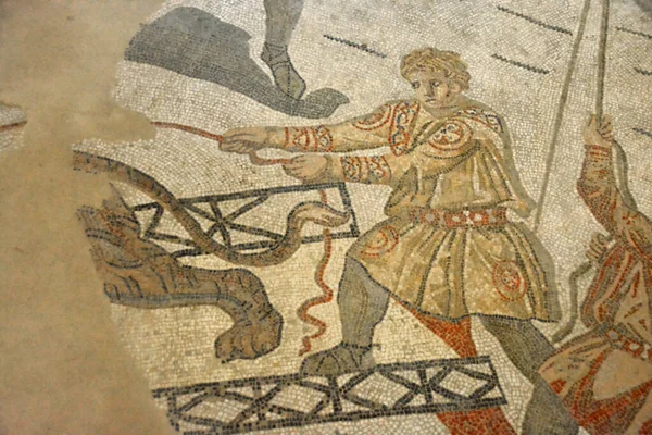 Scena Veche Mozaicului Roman Arată Roman Care Încearcă Încarce Tigru — Fotografie, imagine de stoc