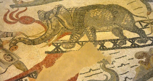 Antigua Escena Mosaico Romano Que Muestra Elefante Siendo Cargado Una — Foto de Stock